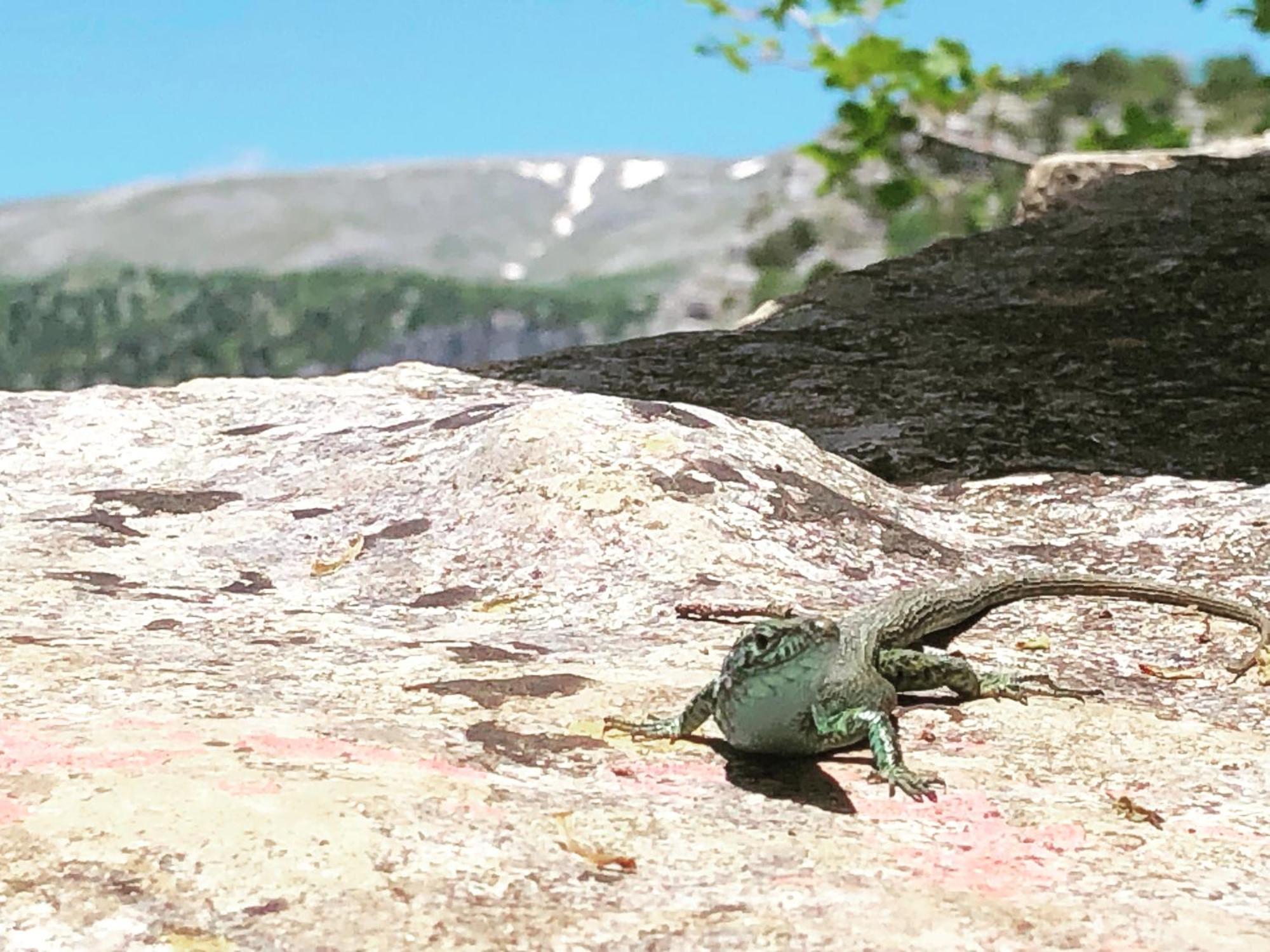 Katikia Zagori Hotell Vitsa Eksteriør bilde