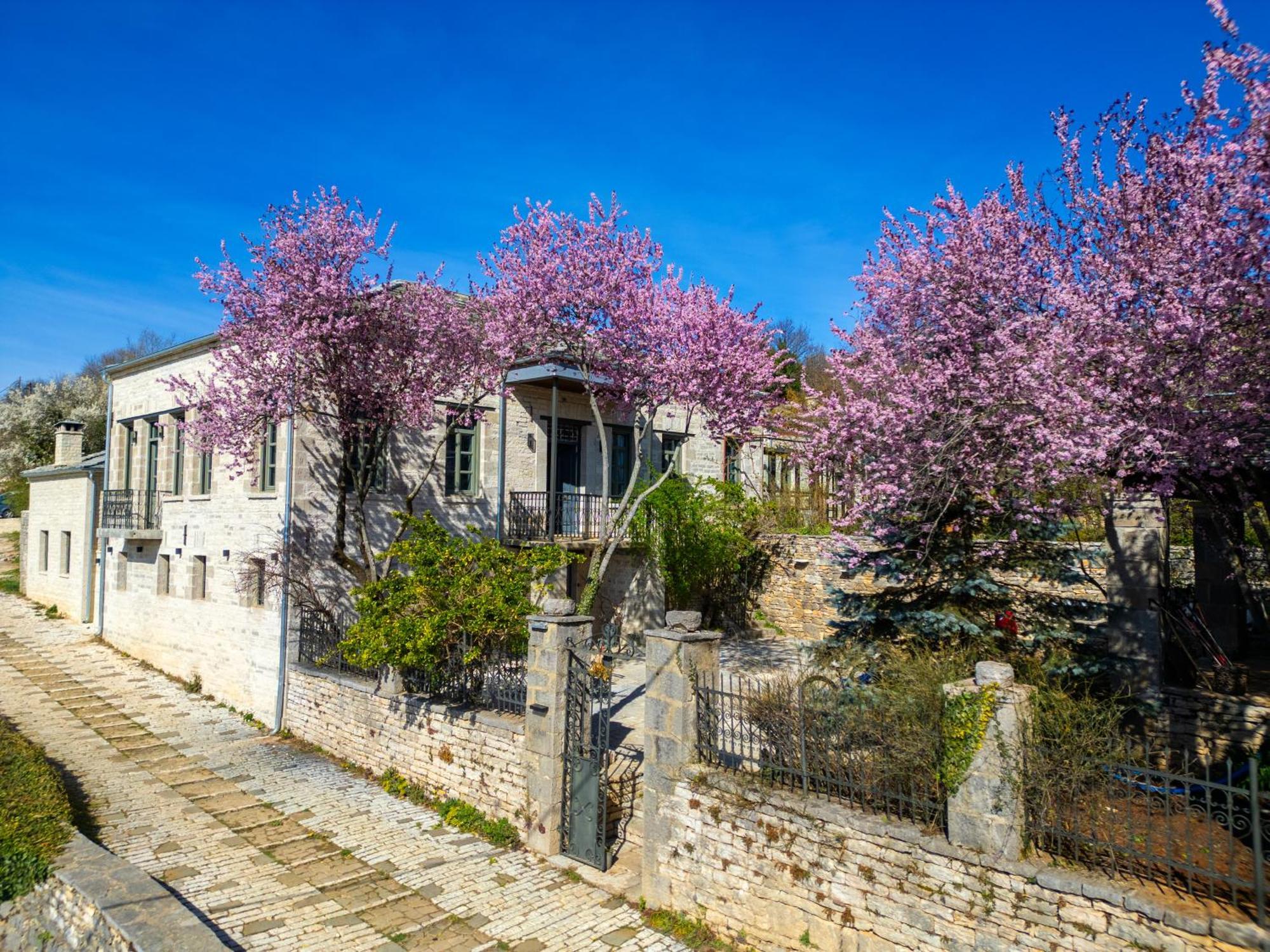 Katikia Zagori Hotell Vitsa Eksteriør bilde